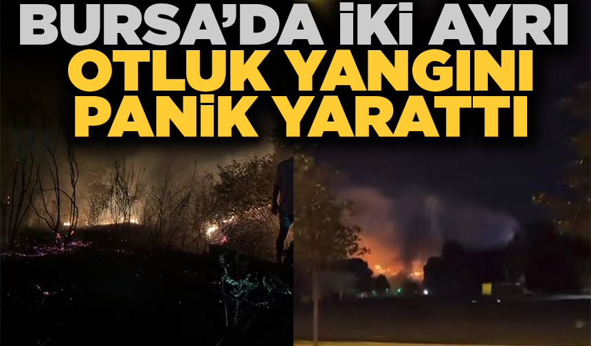 Bursa’da iki ayrı noktada çıkan otluk yangınları söndürüldü