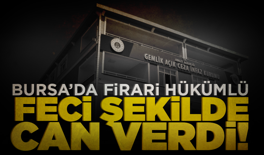 Bursa’da elektrik akımına kapılan firari hükümlü hayatını kaybetti