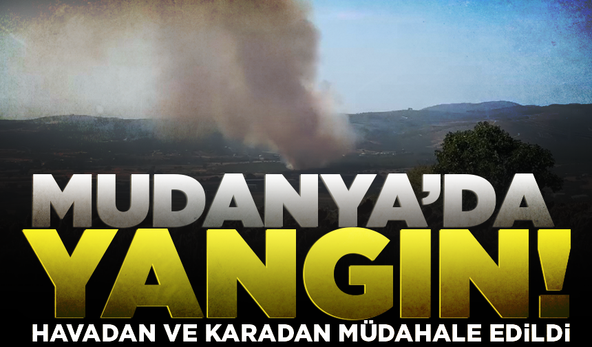 Mudanya’da tarım arazisinde başlayan yangın kontrol altına alındı