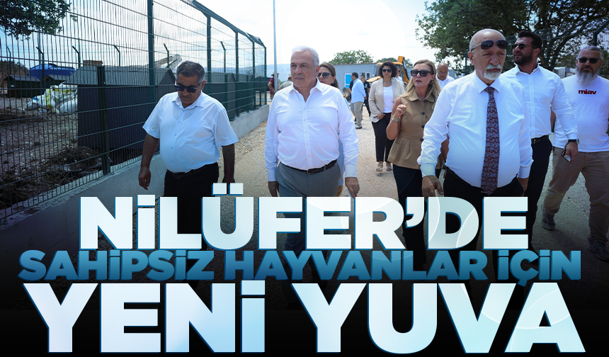 Nilüfer’de sahipsiz hayvanlar için yeni yuva