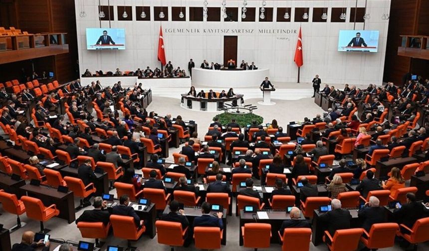 'Çerçeve Yasa' Meclis'te yapılan oylama ile kabul edildi