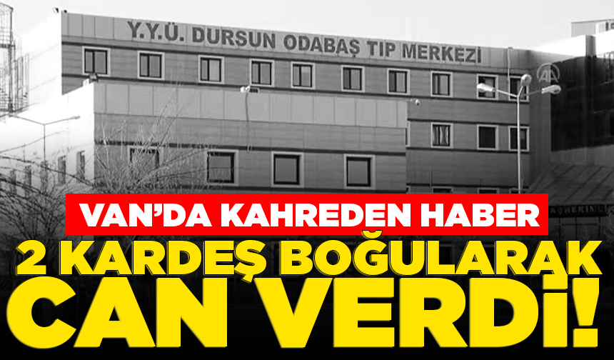 Van Gölü'ne giren kardeşler boğuldu