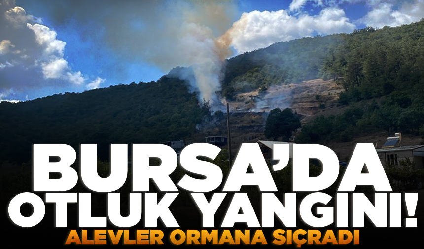 Kestel’de tarım arazisinde başlayan yangın ormana sıçradı