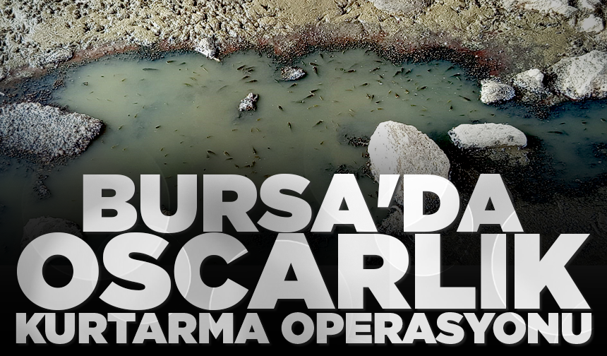 Bursa'da Oscarlık kurtarma operasyonu