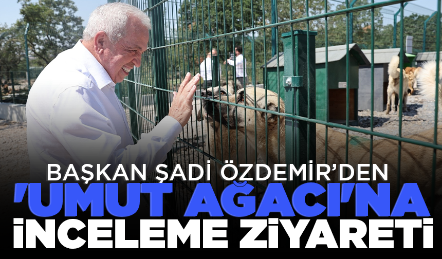 Başkan Şadi Özdemir’den 'Umut Ağacı'na inceleme ziyareti