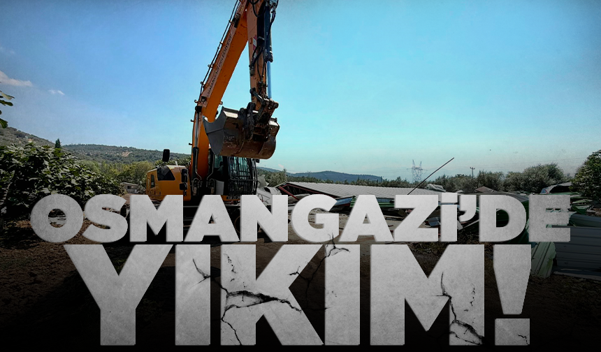 Bursa'da zeytinliğe yapılan kaçak depo böyle yıkıldı