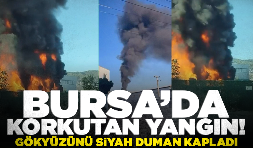 Bursa’da korkutan yangın! Gökyüzünü siyah duman kapladı
