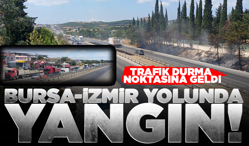 Bursa-İzmir yolunda yangın! Trafik durma noktasına geldi
