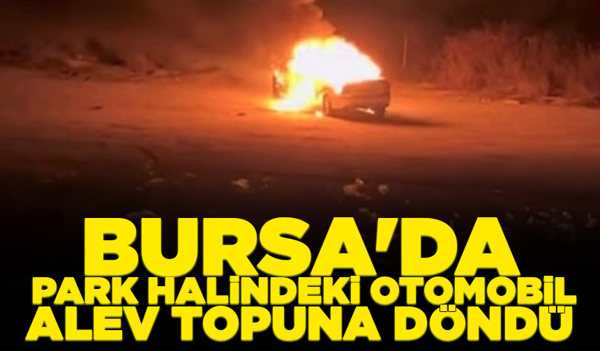 Bursa'da park halindeki otomobil alev topuna döndü