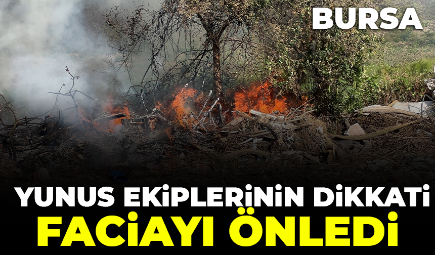 Bursa'da yunus ekiplerinin dikkati faciayı önledi