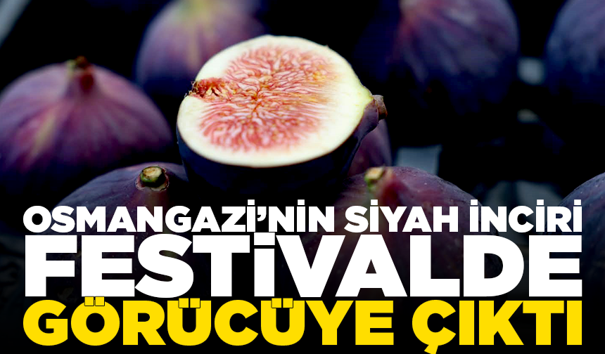 Osmangazi’nin siyah inciri festivalde görücüye çıktı