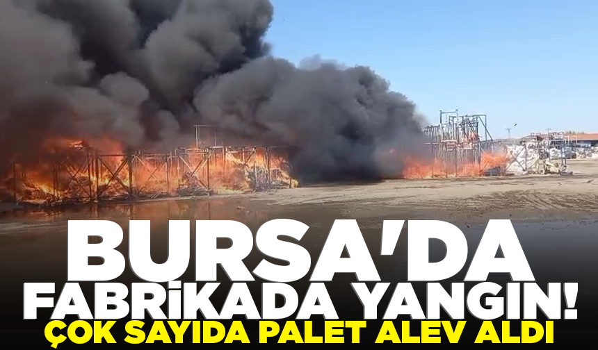 Bursa'da fabrikada yangın! Çok sayıda palet alev aldı