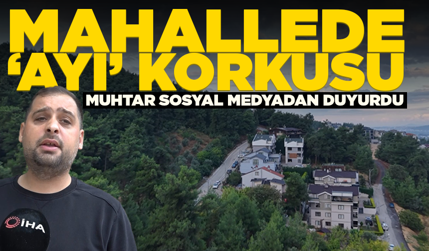 Muhtardan mahalle sakinlerine 'Ayı' uyarısı