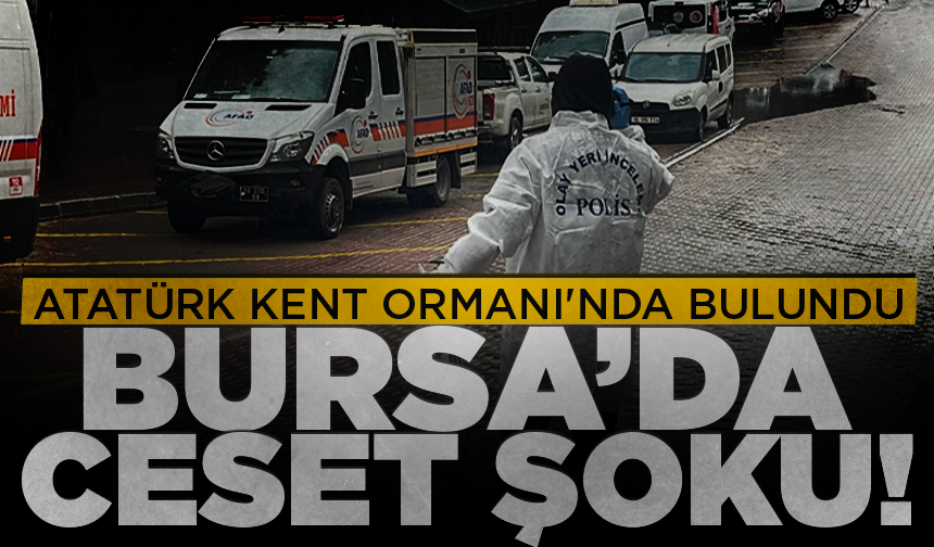 Bursa'da Atatürk Kent Ormanı'nda ceset bulundu!