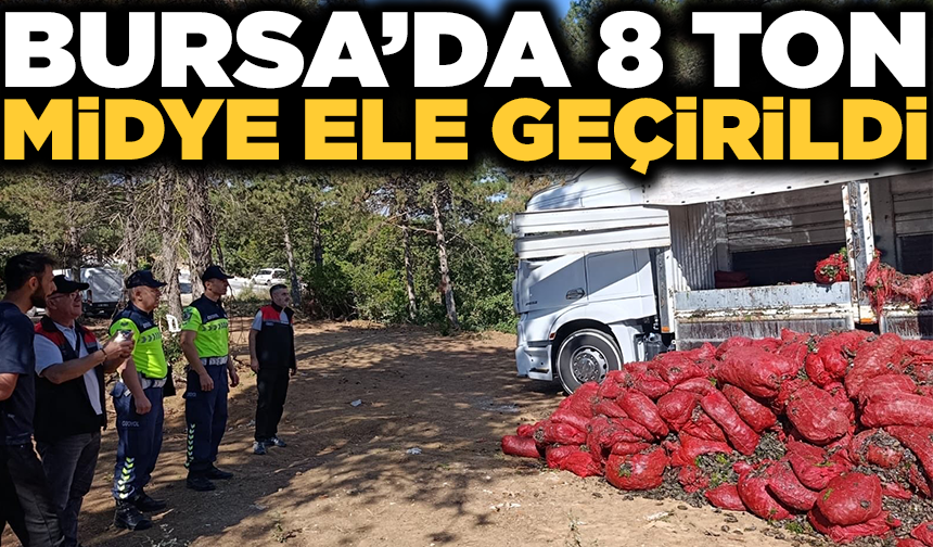 Bursa'da 8 ton midye ele geçirildi