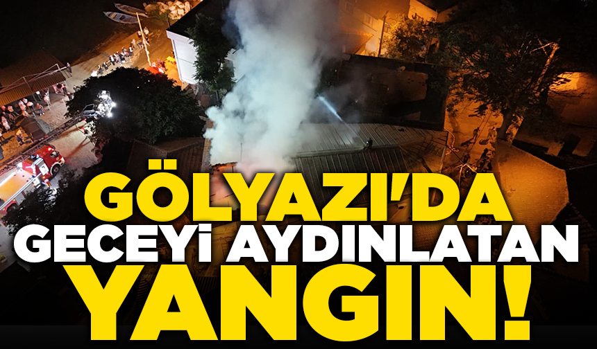 Gölyazı'da geceyi aydınlatan yangın
