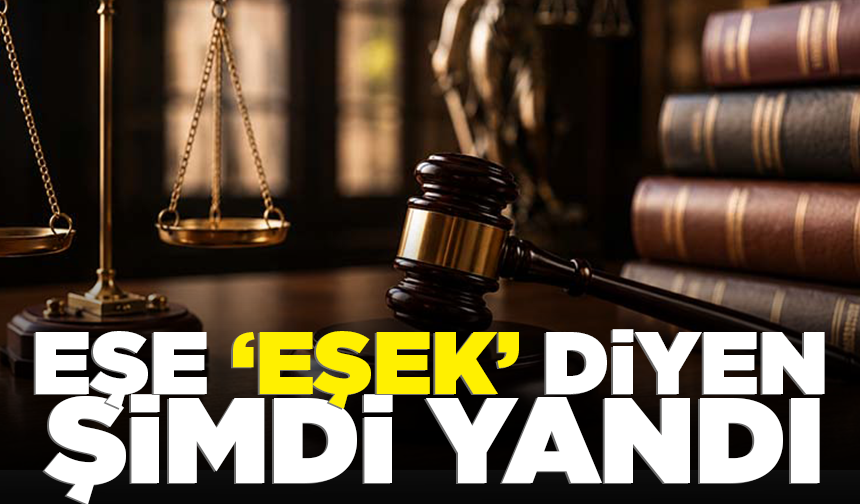 Eşe ‘Eşek’ demek hem boşanma hem tazminat sebebi