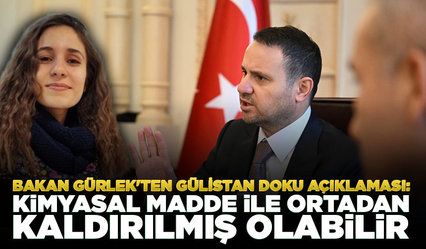 Bakan Gürlek'ten Gülistan Doku açıklaması: Naaşı kimyasal madde ile ortadan kaldırılmış olabilir