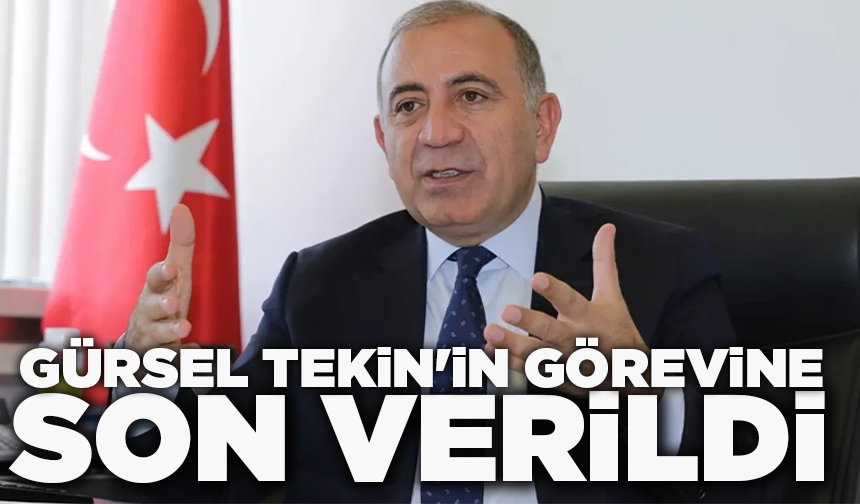 Gürsel Tekin'in görevine son verildi