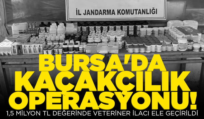 Bursa'da kaçakçılık operasyonu: 1,5 milyon TL değerinde veteriner ilacı ele geçirildi
