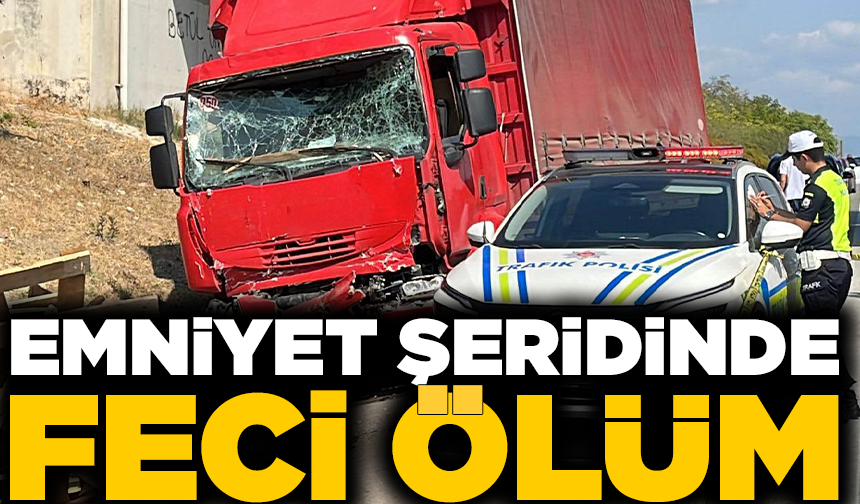 Emniyet şeridinde feci ölüm: Arızalanan kamyonetin altında can verdi