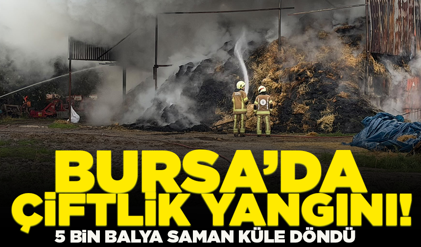 Mustafakemalpaşa’da çiftlik yangını