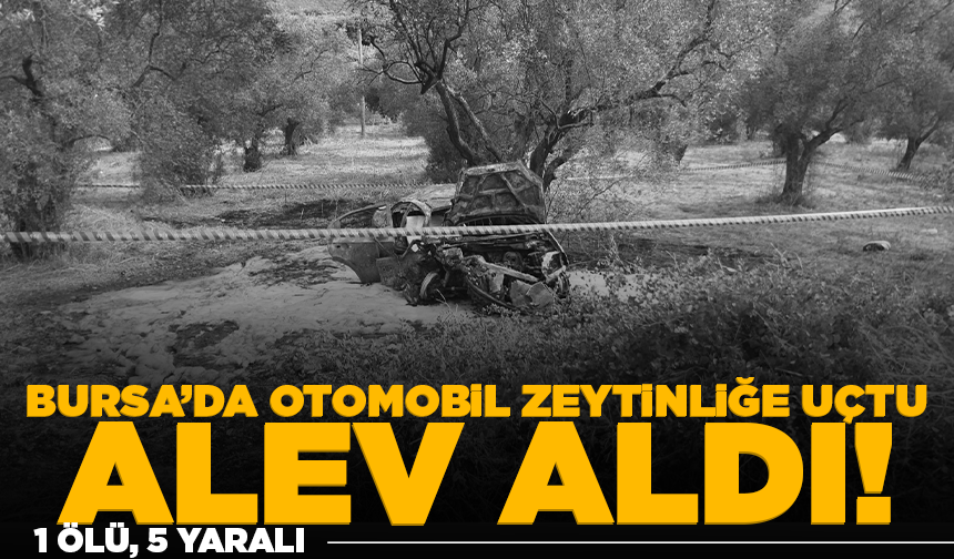 Bursa’da otomobil zeytinliğe uçtu, alev aldı: 1 ölü, 5 yaralı