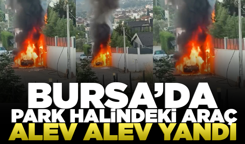 Bursa'da park halindeki araç alev alev yandı