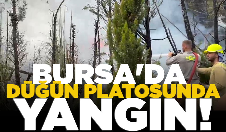 Bursa'da düğün platosunda yangın