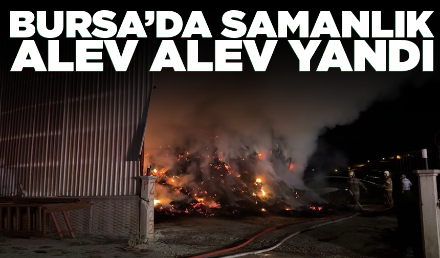 Bursa’da samanlık alev alev yandı