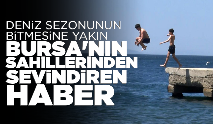 Deniz sezonunun bitmesine yakın Bursa'nın sahillerinden sevindiren haber