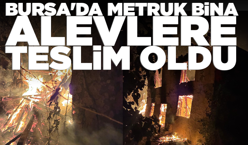 Bursa'da metruk bina alevlere teslim oldu