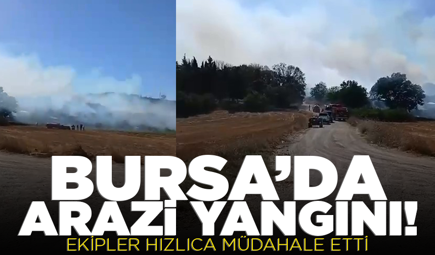Nilüfer’de arazi yangını! Ekipler büyümeden söndürdü