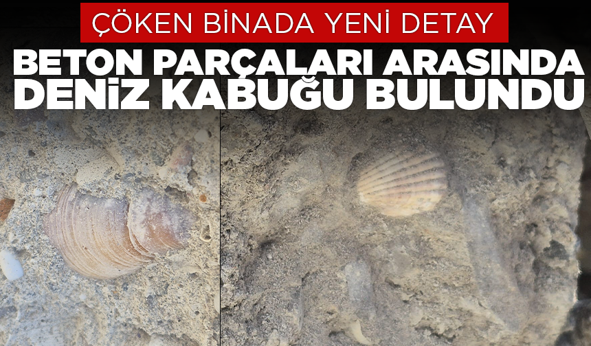 Maltepe'de çöken binanın beton örneklerinde deniz kabuğu görüldü