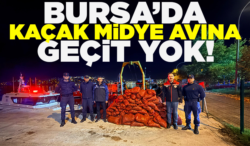 Gemlik’te kaçak midye avına geçit yok: 174 bin TL ceza