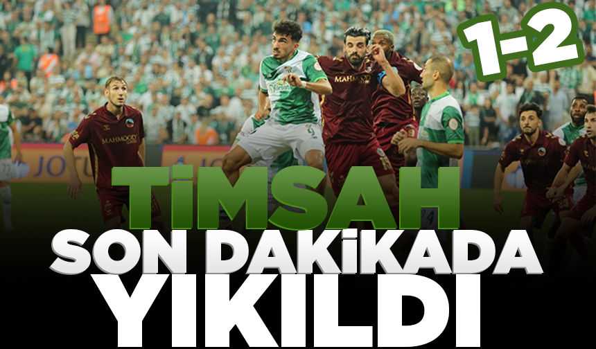 Timsah son dakikada yıkıldı