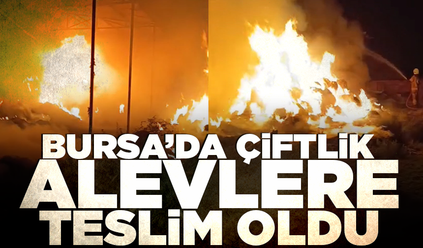 Karacabey'de çiftlik alevlere teslim oldu: Hayvanlar son anda kurtarıldı