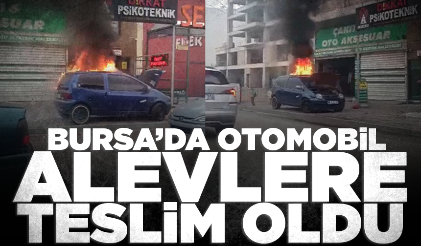 Bursa’da park halindeki otomobil alevlere teslim oldu
