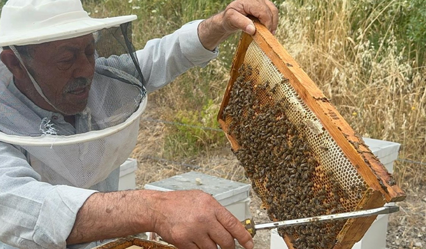 Bursa’da emekli başgardiyanın 50 yıllık arıcılık hikayesi! Balları Avrupa’ya gidiyor