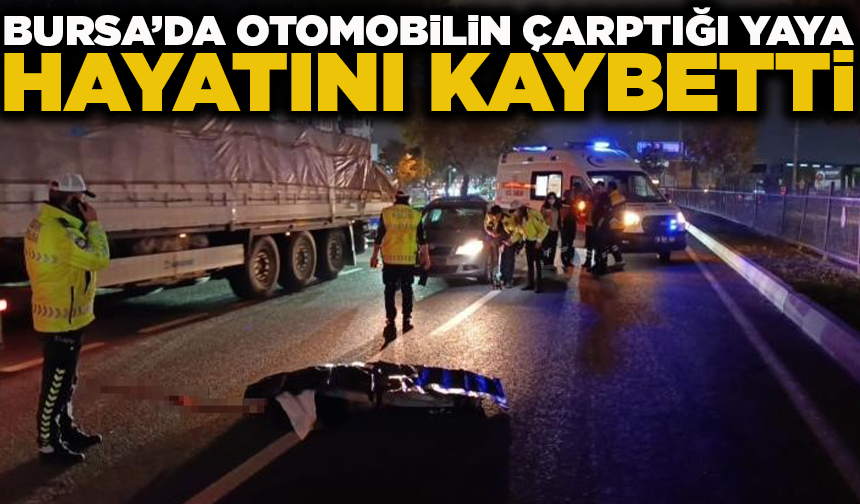 Bursa’da otomobilin çarptığı yaya hayatını kaybetti
