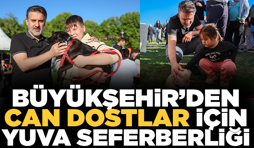 Büyükşehir'den can dostları için yuva seferberliği