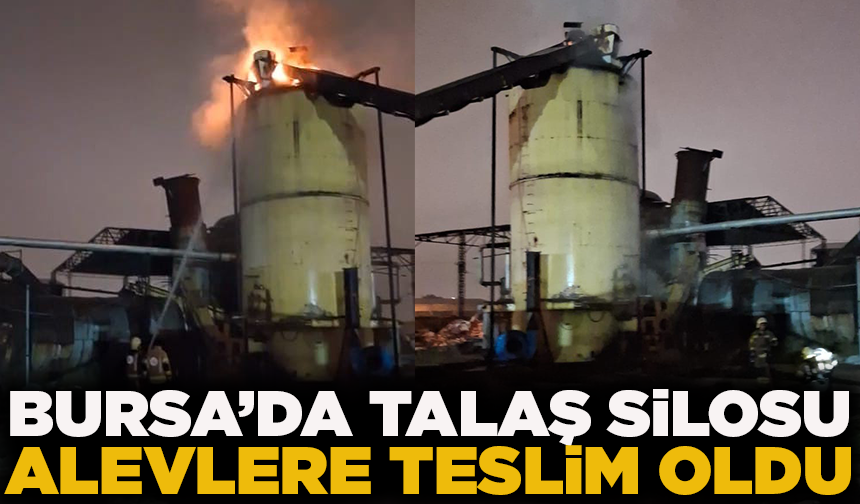 Bursa’da talaş silosu alevlere teslim oldu