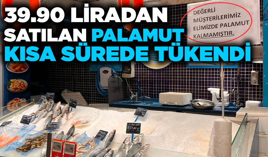 Palamutun tanesi 39.90 TL'den satılınca kısa sürede tükendi