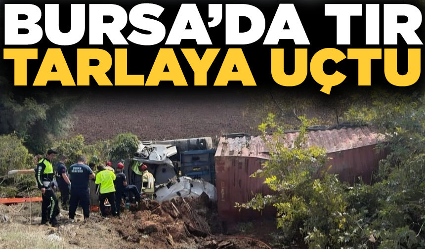 Bursa'da tır tarlaya uçtu: 1 yaralı