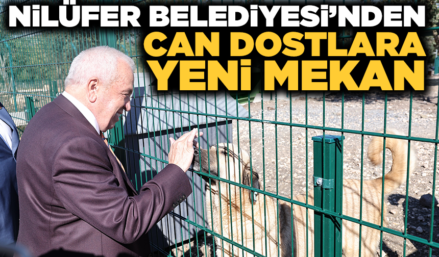 Nilüfer’de sahipsiz hayvanlar için “Umut Ağacı” açıldı