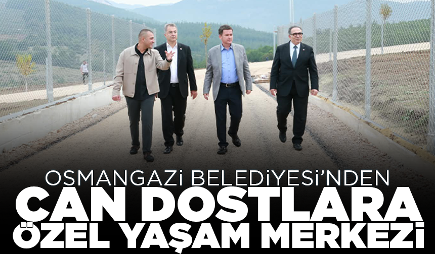 Bursa Osmangazi'de 5 bin 500 can dostuna yeni yuva