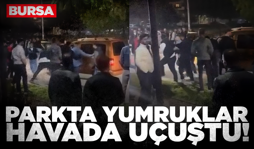 Bursa'da parkta gençlerin kavgası kameraya yansıdı