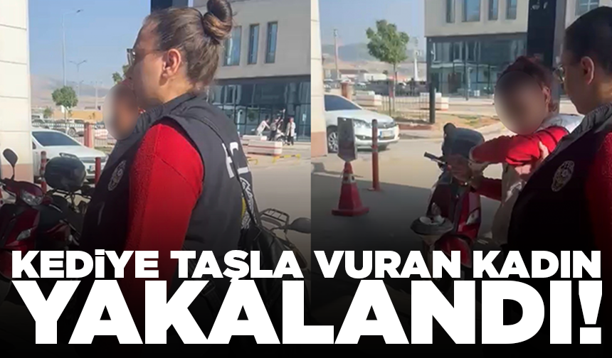 Kediye taşla vuran kadın yakalandı
