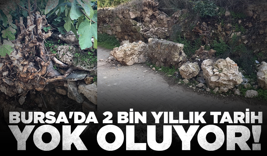İznik’te 2 bin yıllık su kemeri ilgisizlikten çökmeye başladı