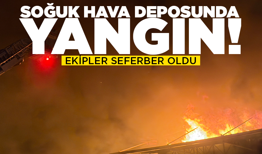 İznik'te soğuk hava deposunda yangın: Ekipler seferber oldu